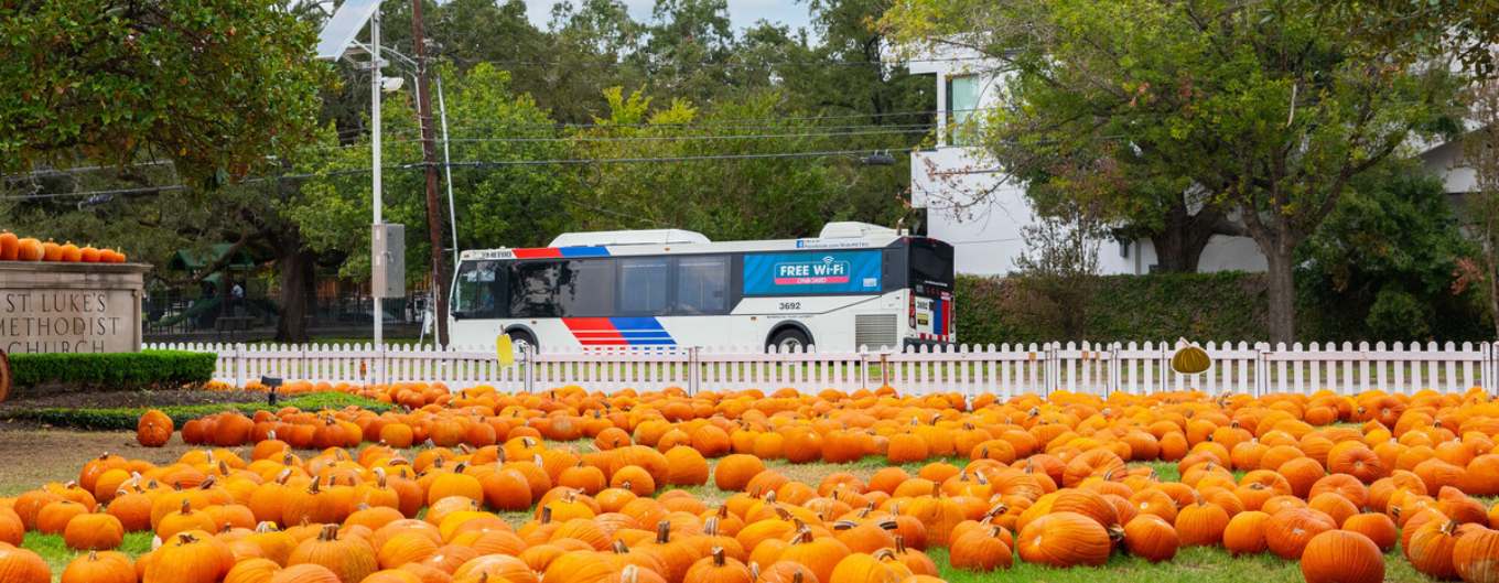 METRO can take you to your local fall event!